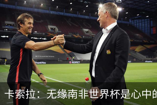 卡索拉：无缘南非世界杯是心中的刺